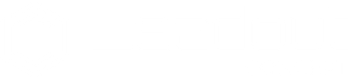 LeadoutConcept